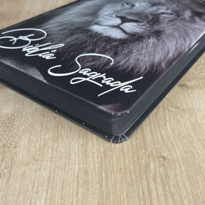 image_40f905fd-a181-4014-9830-08c2cafea423