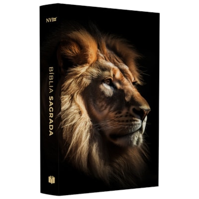 Imagem Principal - e65b71b2-c999-4fb5-a466-5e9d616bccd9