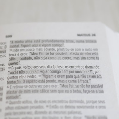 image_4631c5bf-a5c2-4317-8440-f767cb753419