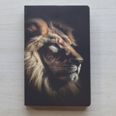 image_06a5352a-774e-4754-934d-c9e7175e25f1