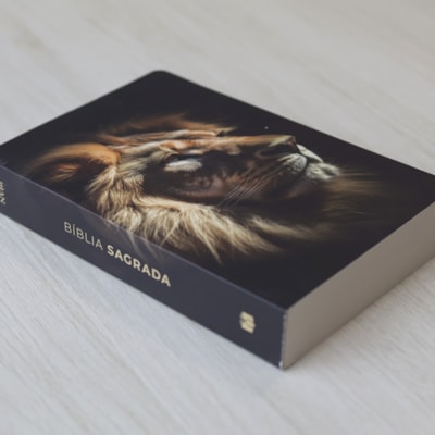 image_ac24373e-709d-430c-a572-52f15be46baa