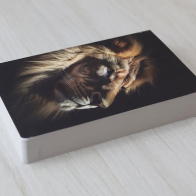 image_7e899920-336f-409b-a0e7-e13f0b3f0e80