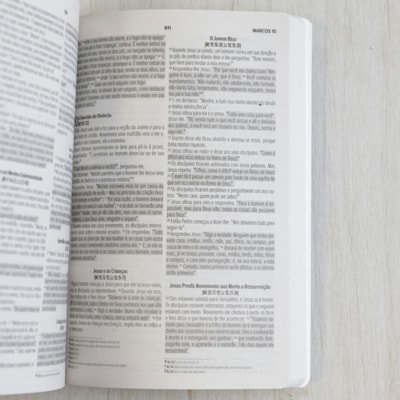 image_f34ee4d4-5846-419d-ab6d-e779c410a959