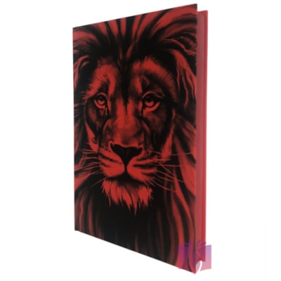 image_417b341e-4f33-4b89-a28d-8b57ad8b1363