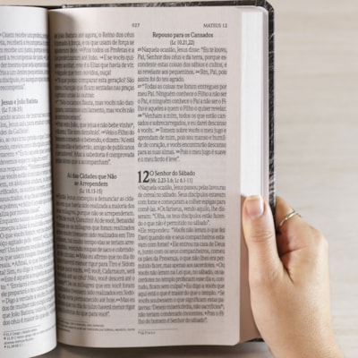 image_a458222f-eec3-4d23-9737-07fcd13ab5e1