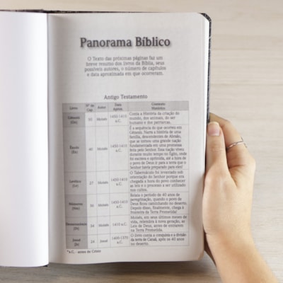 image_bfd13630-668a-40d0-8b48-417e209587c2