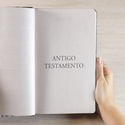 image_99d527a2-abde-4bcb-ab8c-b01e50bfb0cf