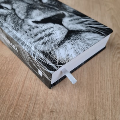 image_1403c36f-802e-456f-a472-5edc88d2faf4