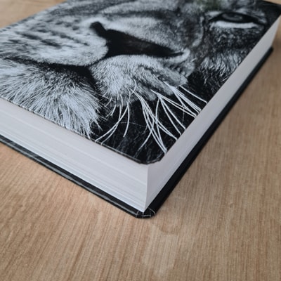 image_9f26b3fb-498b-4478-97c5-6760bcff5c91