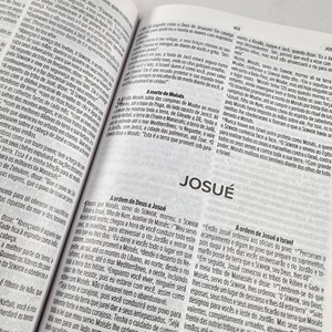 Bíblia Sagrada Leão Yahweh | NVT | Letra Normal | Flexível Soft Touch