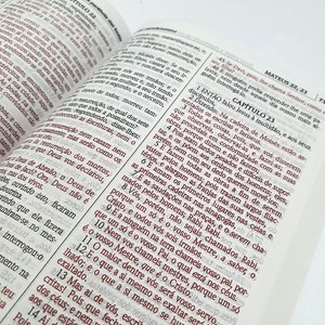 Bíblia Sagrada  Leão Yeshua | ACF | Letra Maior | Capa Dura