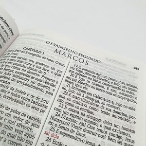 Bíblia Sagrada  Leão Yeshua | ACF | Letra Maior | Capa Dura