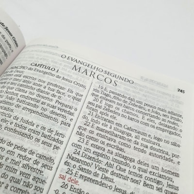 image_1b6ebb7e-5d56-410a-bfeb-cbcd330124aa