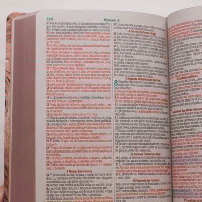 image_242296e0-137c-4484-b70c-7e99b33dcab0