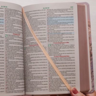 image_5f2c28fb-5bbd-4d81-83b3-65c1532db3f2