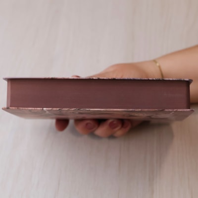 image_97e00d80-ca78-4a04-9abc-ddce7c07efdf