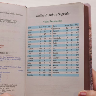 image_c793c166-dee4-4b54-a9d8-65abd4075daf