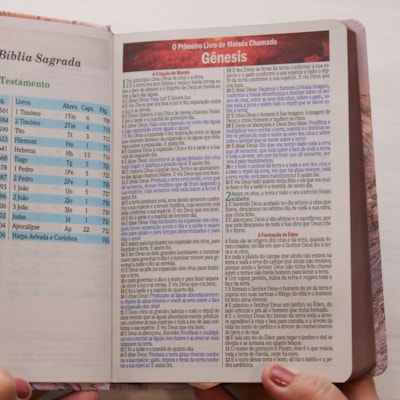 image_ab4a1991-dd3b-46e1-95ce-fb2bd67b8f10