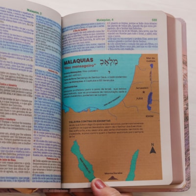 image_ce82b87f-e7c2-49bb-89e6-dbc516c72748