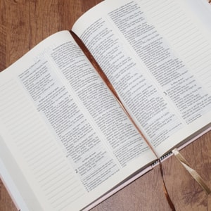 Segunda imagem do produto Bíblia Sagrada Leão Yeshua | NVI | Capa Dura com Espaço para Anotações