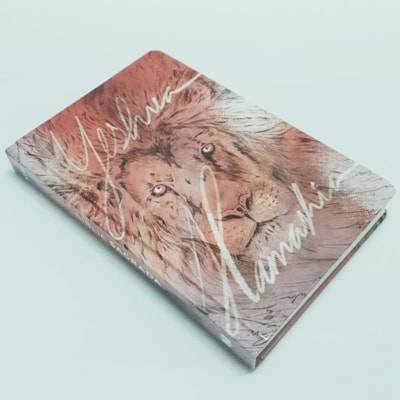 image_24b2acce-1891-4f81-b221-4caa700f21ff