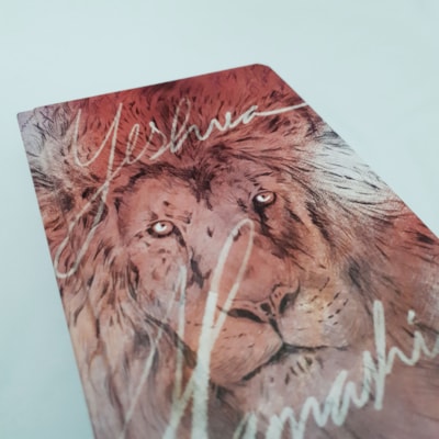 image_be775728-62f0-4ece-bce5-6f4c97fb731f