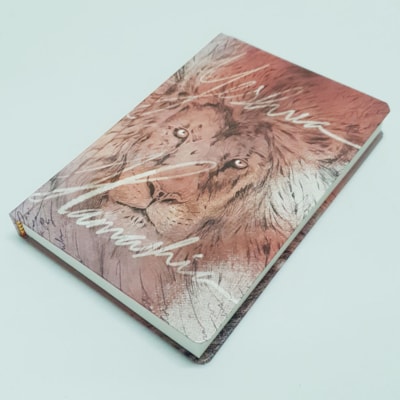 image_025cfd5e-25a1-4df2-bd1b-3dff2f8d6a84