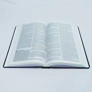 Bíblia Sagrada Leão Yeshua | NVI | Letra Normal | Capa Dura