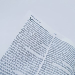 Bíblia Sagrada Leão Yeshua | NVI | Letra Normal | Capa Dura
