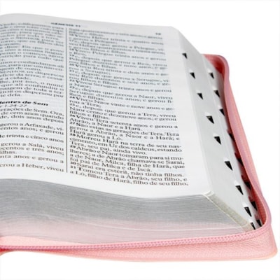 image_1e63ce4c-c3e5-45a2-a388-17787d54bef7