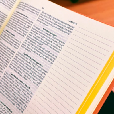 image_a8ec647a-96b0-44d4-bb51-f2afe00c18fd