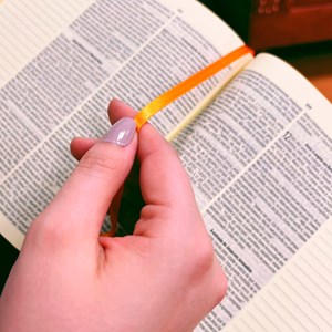 Bíblia Sagrada Leia e Anote | NVT | Letra Normal | Capa Dura Centésima