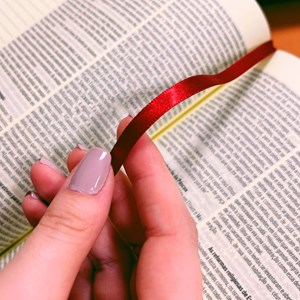 Bíblia Sagrada Leia e Anote | NVT | Letra Normal | Capa Dura Enraizada
