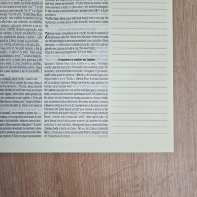 image_e8169e1c-7e61-47b8-8362-f4041377fd94