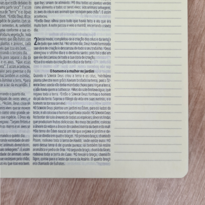 image_479a8bb0-5b87-44f9-97e0-712322d7c958