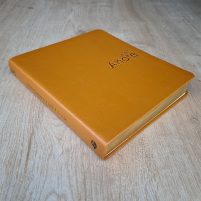 image_e690fe18-8c14-456c-9c7e-4c538bfdd12d