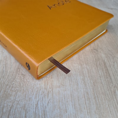 image_e0e5a4df-ea0e-46a4-b07a-9780d7ed12ba