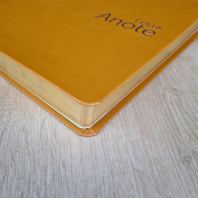 image_37d9d5a9-6d9b-4287-b330-46420fd43cd4