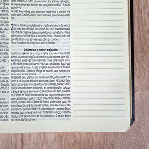 Bíblia Sagrada Leia e Anote | NVT | Letra Normal | Capa Luxo Laranja