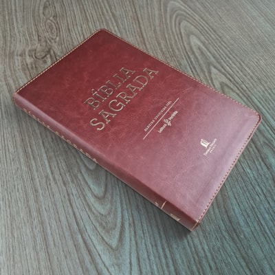 image_c19ec965-ec5d-4e8d-b2c3-dfd4f1ed7747