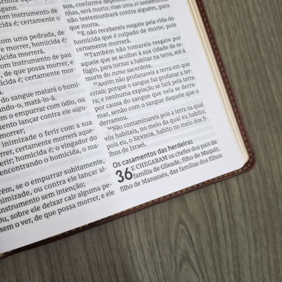 image_ec9f6031-c2be-4f2f-88bd-1932c5b51867