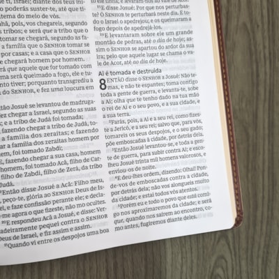 image_f7814687-9d7e-465f-9e37-c311019768a1