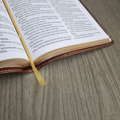 image_c300a37d-53de-4bb4-b9a8-f6ab9a7f3e35