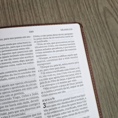 image_8f245222-778b-4667-aa03-a2a7bb387421