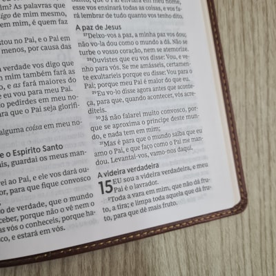 image_62403449-93c8-4fbc-b6fa-4f2802201f41