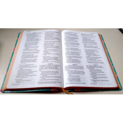 image_2956d8d0-20e8-4efa-b903-4799bb7e6c47