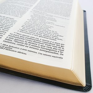 Bíblia Sagrada - Leitura Perfeita | Letra Grande | NVI | Capa Verde