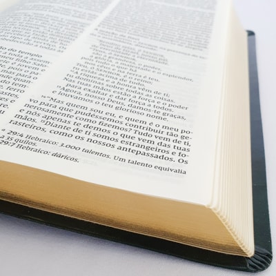 image_1da1f4e7-c40c-41e2-a2ee-271233a8555d