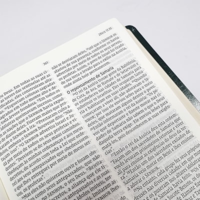 image_23b2f2af-f980-4071-829c-4f2534bed6c9