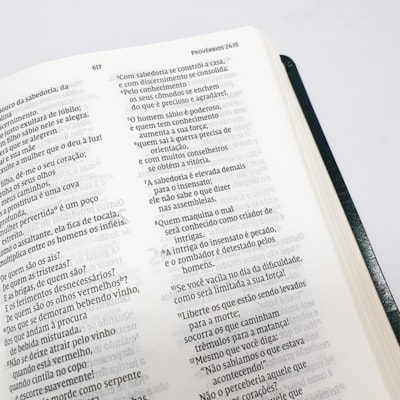 image_2043b01e-a484-464e-bb1c-42c4a7491dd6